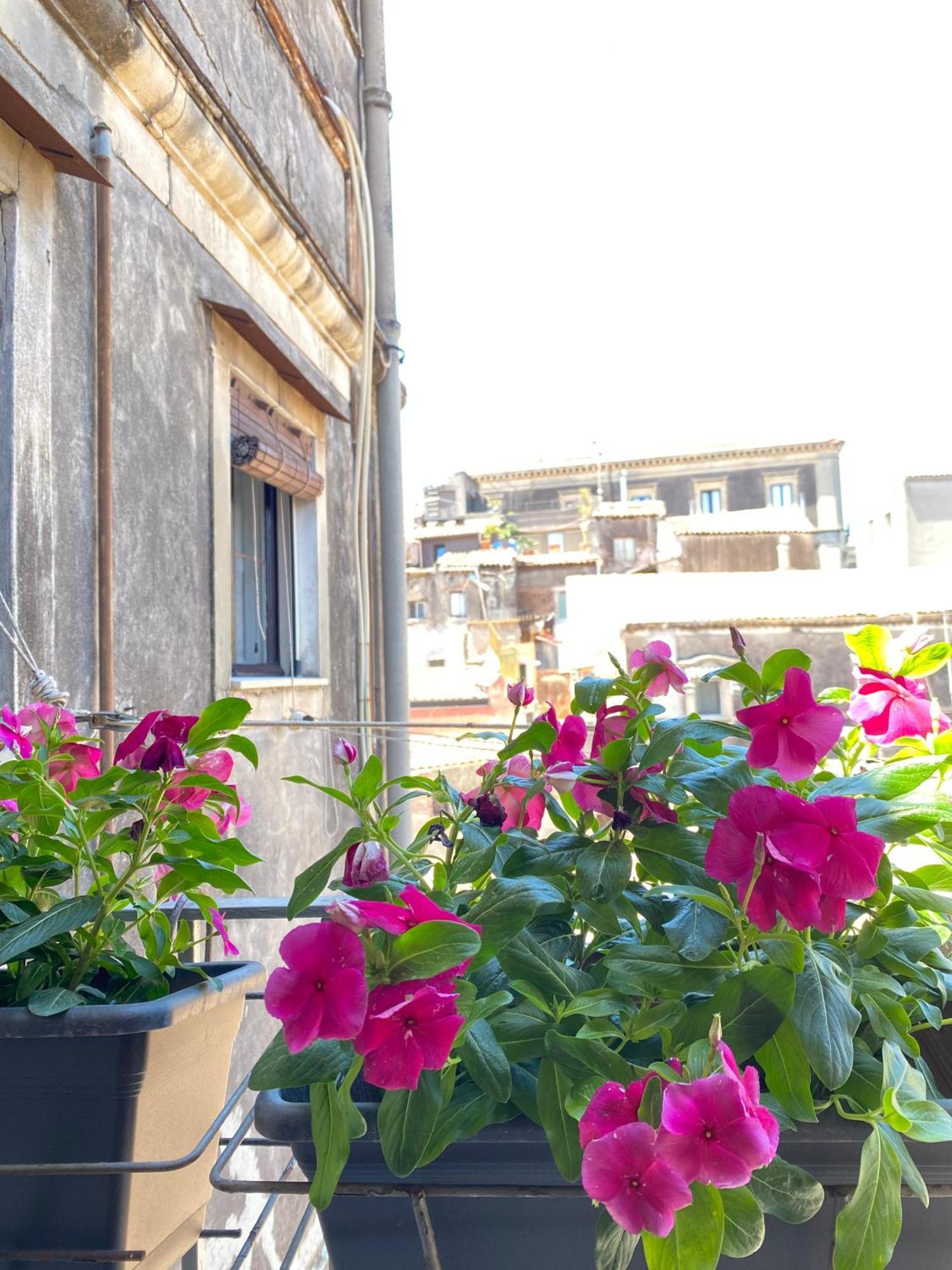 Bed and Breakfast Dimora Dei Minoriti CTA Exterior foto